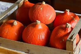COURGE Potimarron - 0,900 kg - 2,90 €/kg -